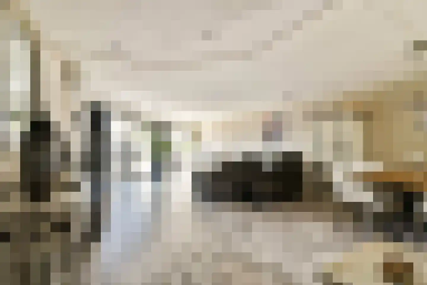 Carry Pothuiskade 116 Vlaardingen thumbnail 9