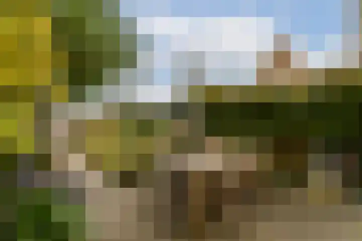 Carry Pothuiskade 12 Vlaardingen thumbnail 12