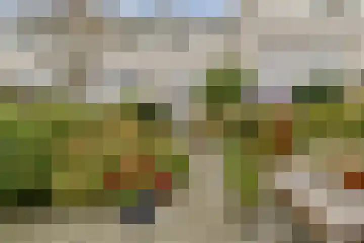 Carry Pothuiskade 12 Vlaardingen thumbnail 13