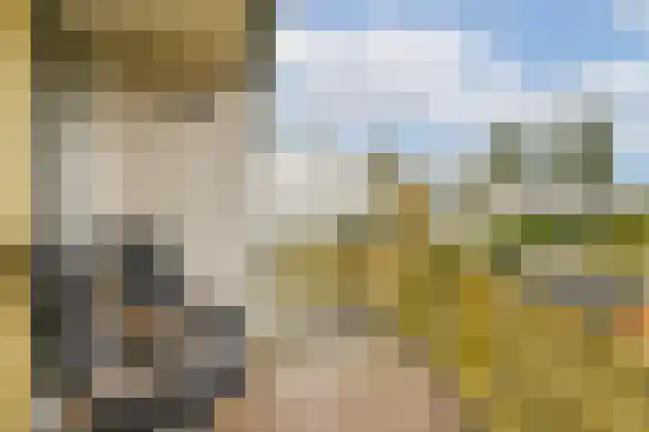 Carry Pothuiskade 12 Vlaardingen thumbnail 18