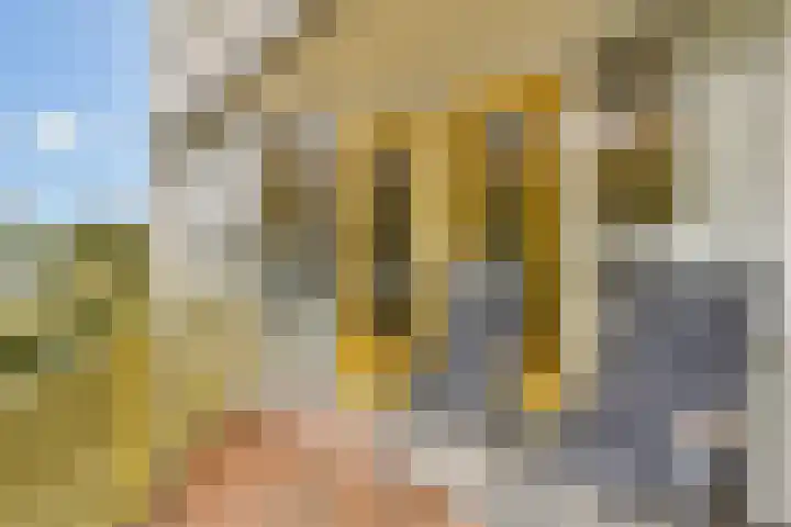 Carry Pothuiskade 12 Vlaardingen thumbnail 19