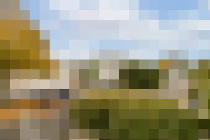 Carry Pothuiskade 12 Vlaardingen thumbnail 20