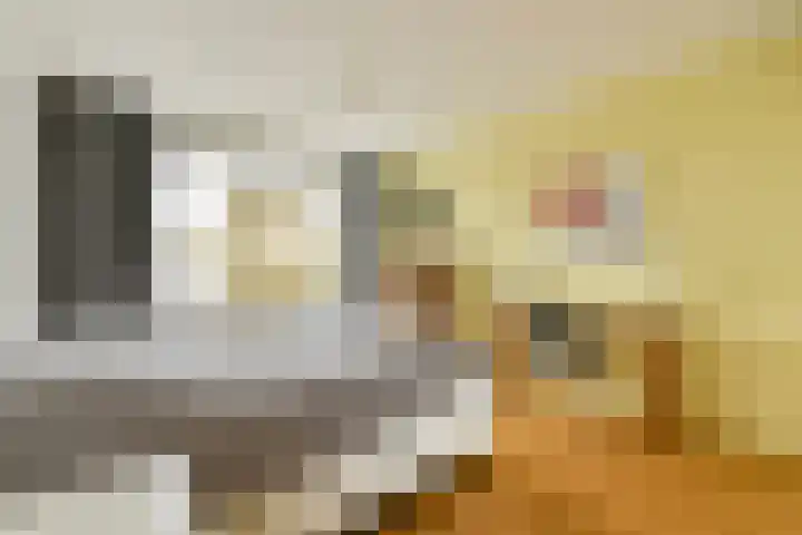 Carry Pothuiskade 12 Vlaardingen thumbnail 22