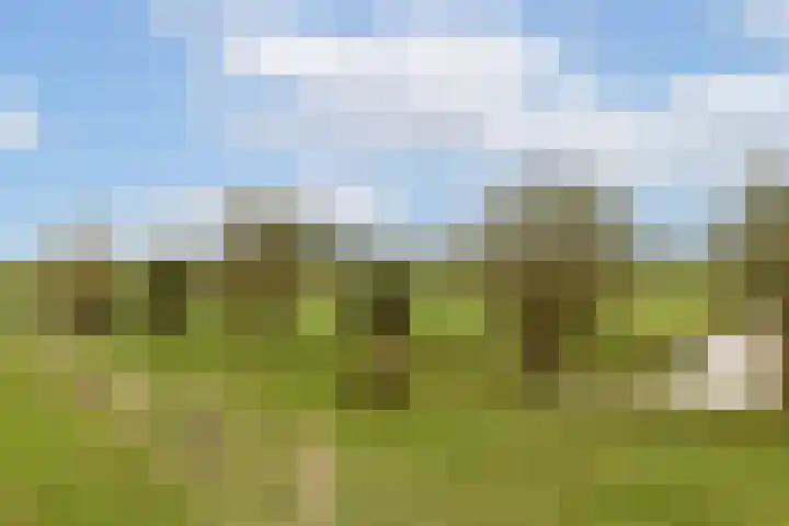 Carry Pothuiskade 12 Vlaardingen thumbnail 33