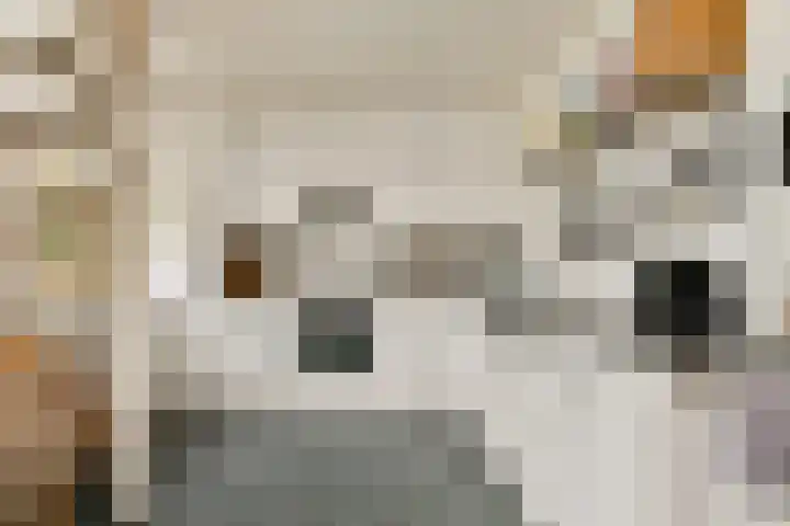 Carry Pothuiskade 12 Vlaardingen thumbnail 9