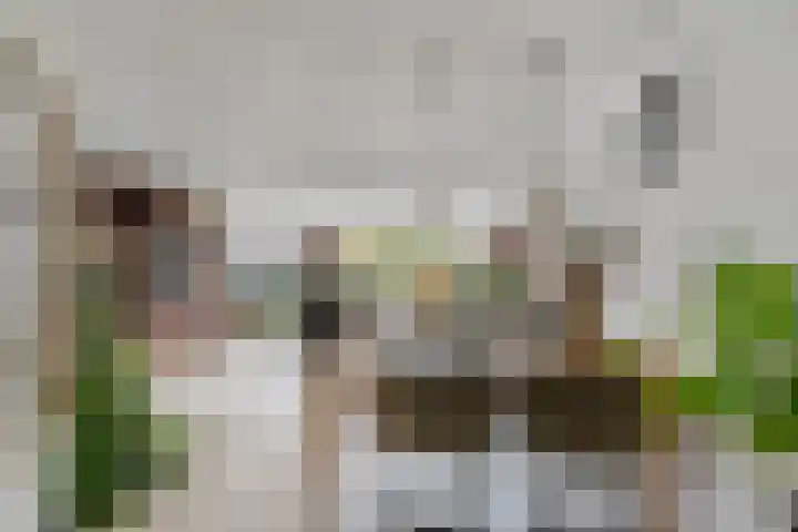 Carry Pothuiskade 41 Vlaardingen thumbnail 17