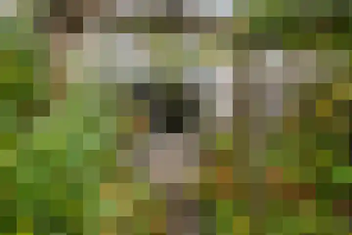 Carry Pothuiskade 41 Vlaardingen thumbnail 22