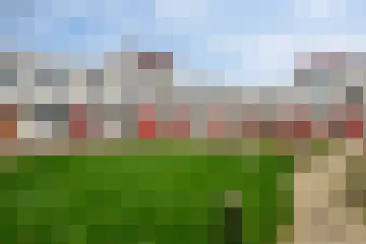 Carry Pothuiskade 41 Vlaardingen thumbnail 34