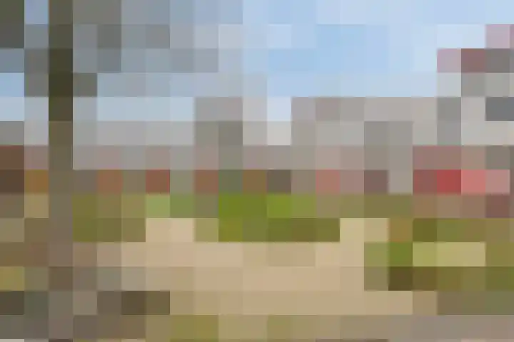 Carry Pothuiskade 41 Vlaardingen thumbnail 35