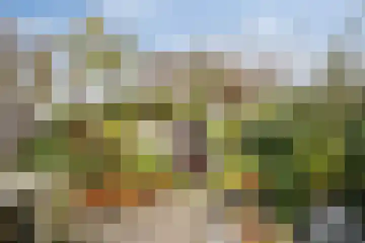 Carry Pothuiskade 41 Vlaardingen thumbnail 6