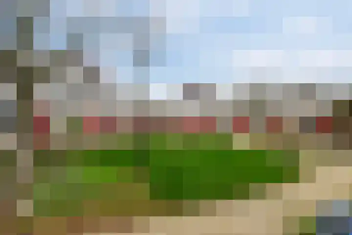 Carry Pothuiskade 41 Vlaardingen thumbnail 7