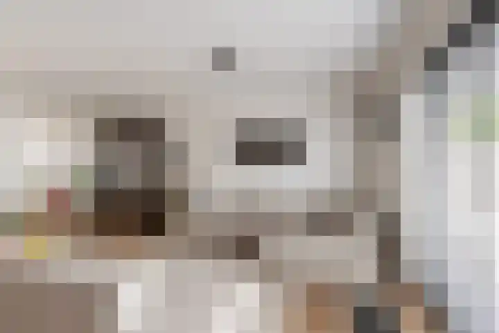 Carry Pothuiskade 57 Vlaardingen thumbnail 13