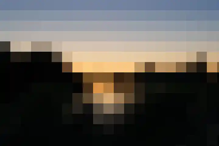 Carry Pothuiskade 57 Vlaardingen thumbnail 39