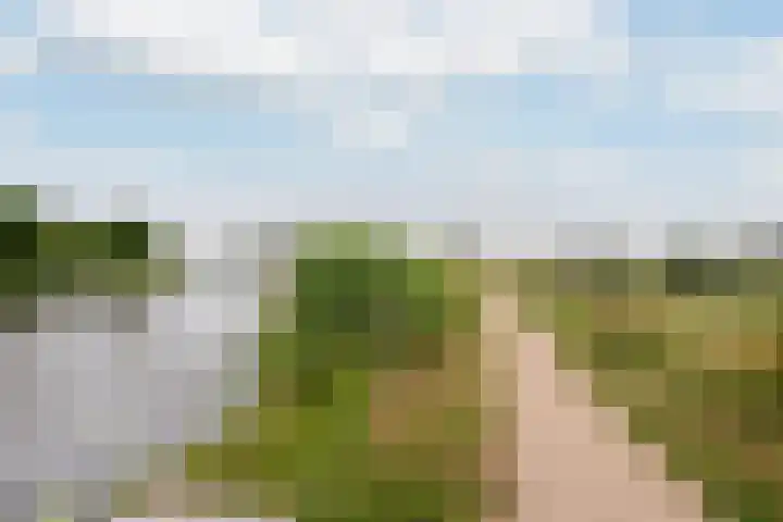 Carry Pothuiskade 57 Vlaardingen thumbnail 42
