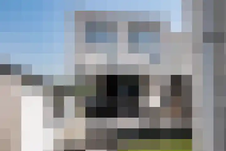 Carry Pothuiskade 57 Vlaardingen thumbnail 5