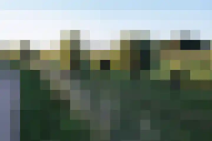 Carry Pothuiskade 57 Vlaardingen thumbnail 6