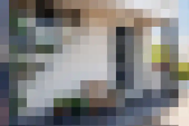 Carry Pothuiskade 57 Vlaardingen thumbnail 9