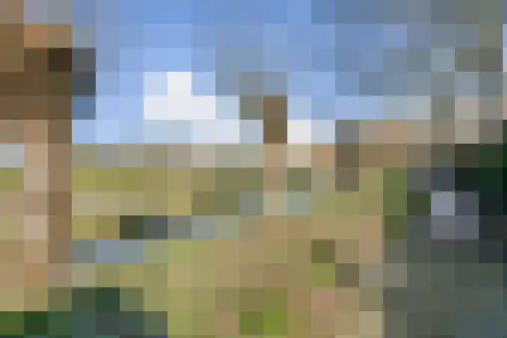 Carry Pothuiskade 92 Vlaardingen thumbnail 22