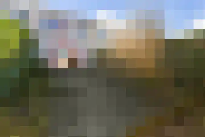 Carry Pothuiskade 92 Vlaardingen thumbnail 7
