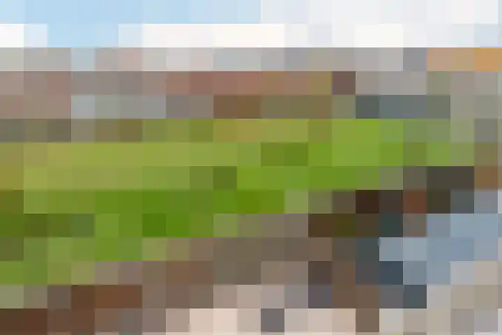 Carry van Bruggenhof 111 Den Haag thumbnail 30