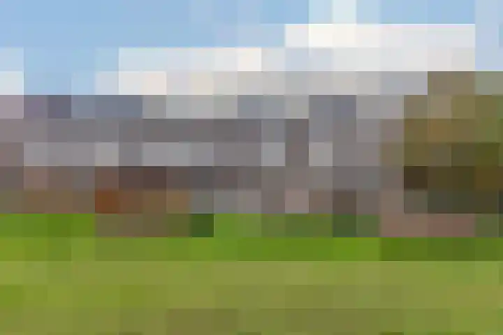 Carry van Bruggenhof 111 Den Haag thumbnail 31