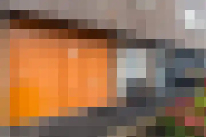 Carry van Bruggenhof 111 Den Haag thumbnail 5