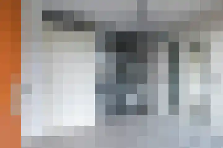 Carry van Bruggenhof 111 Den Haag thumbnail 7