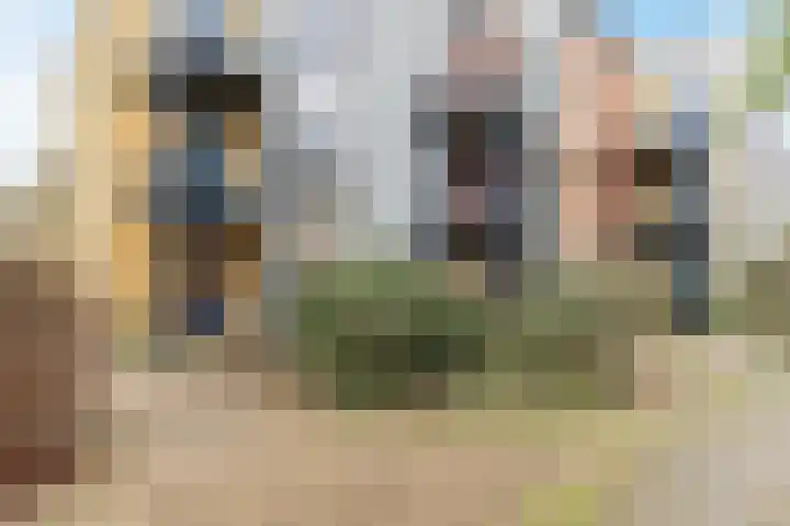 Carry van Bruggenhof 16 Culemborg thumbnail 18