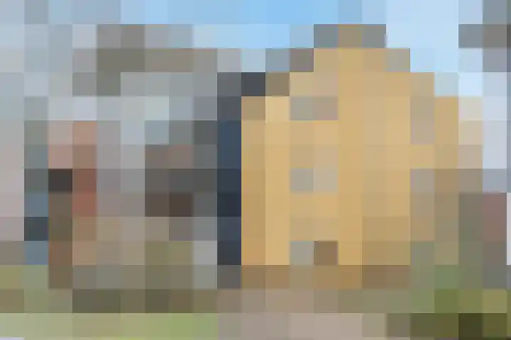 Carry van Bruggenhof 16 Culemborg thumbnail 21