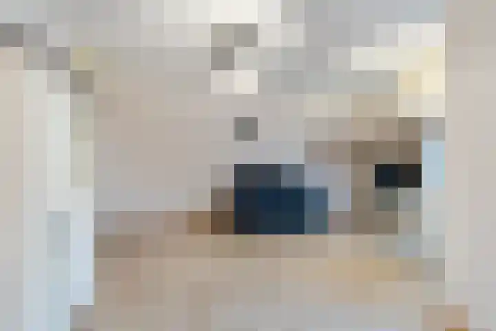 Carry van Bruggenhof 16 Culemborg thumbnail 7