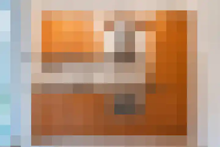 Carry van Bruggenhof 16 Culemborg thumbnail 9