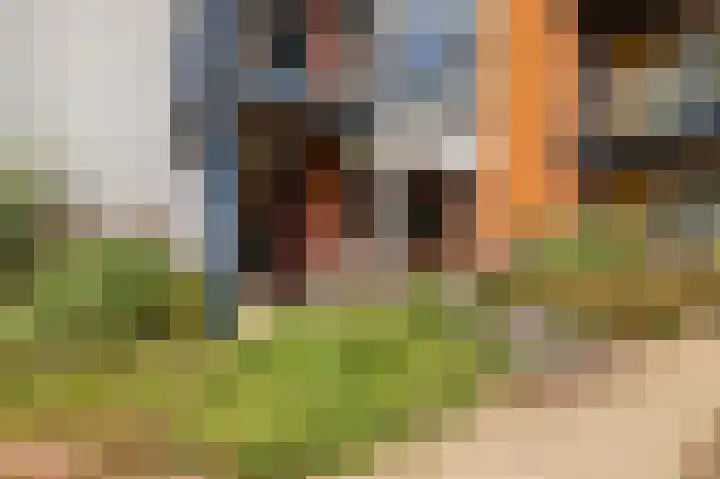 Carry van Bruggenhof 18 Culemborg thumbnail 6