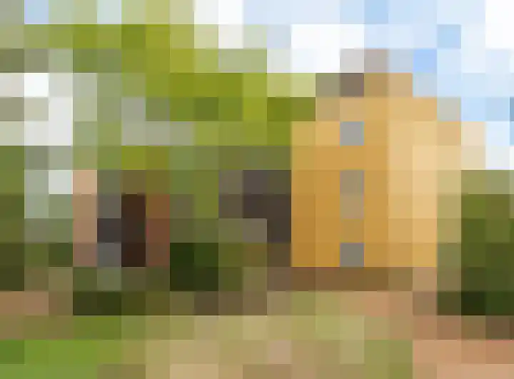 Carry van Bruggenhof 18 Culemborg thumbnail 7