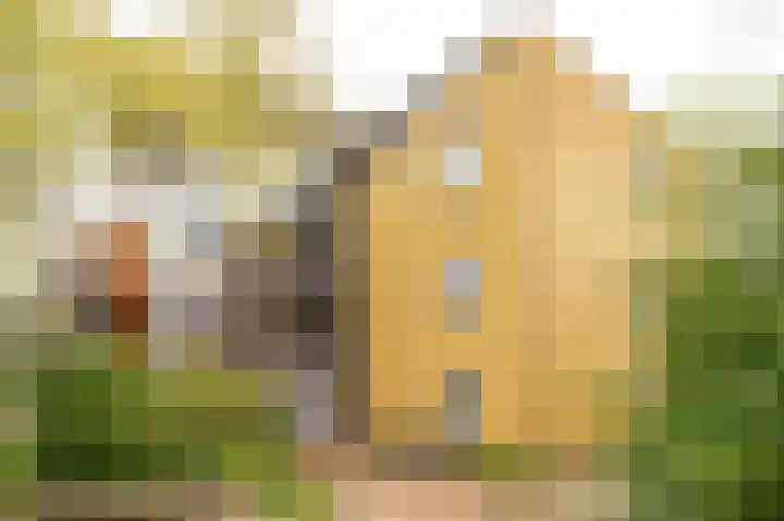 Carry van Bruggenhof 26 Culemborg thumbnail 24