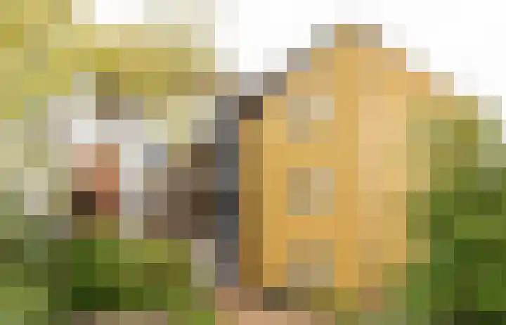 Carry van Bruggenhof 26 Culemborg thumbnail 5