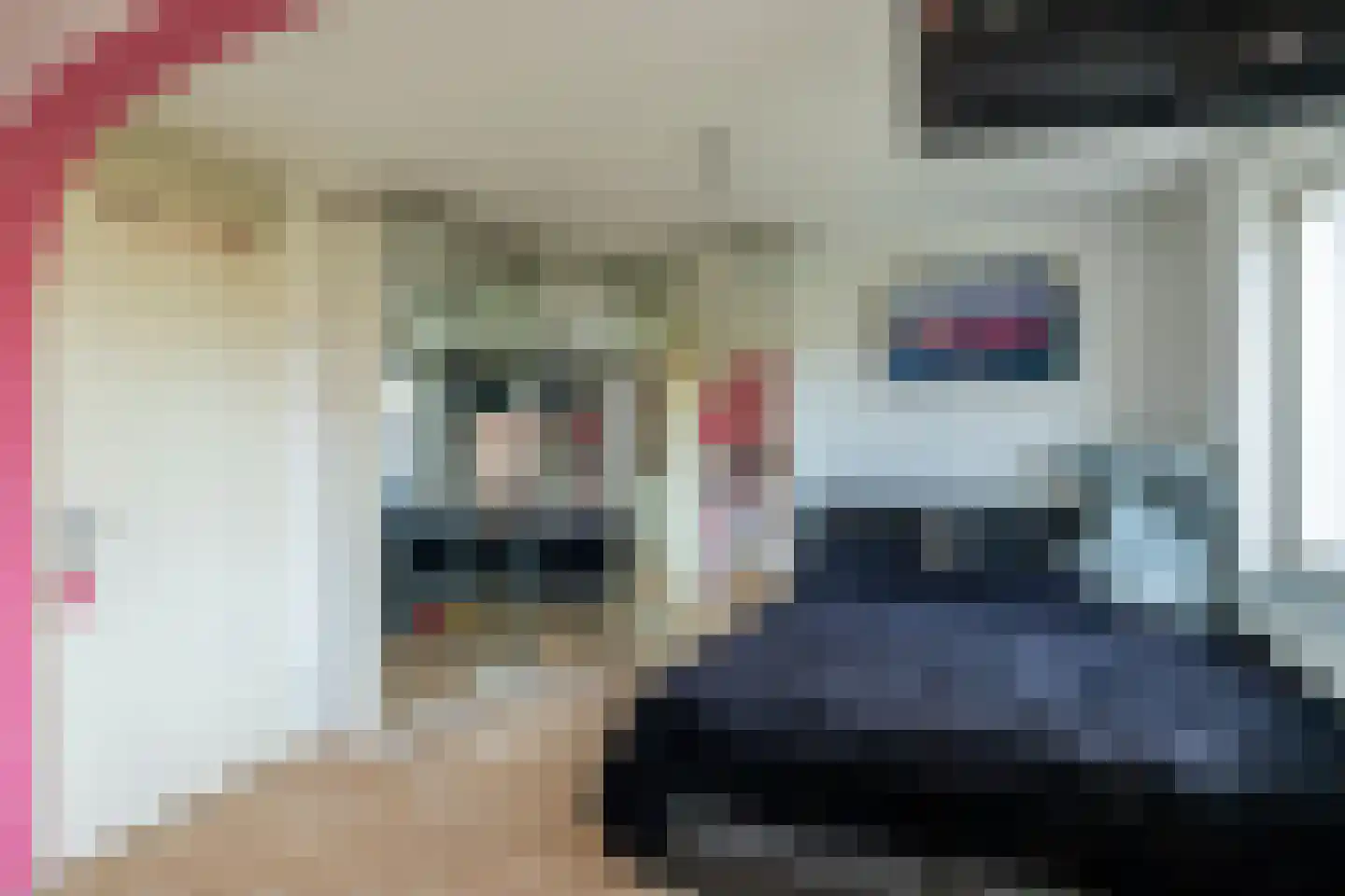 Carry van Bruggenhof 39 Den Haag thumbnail 15
