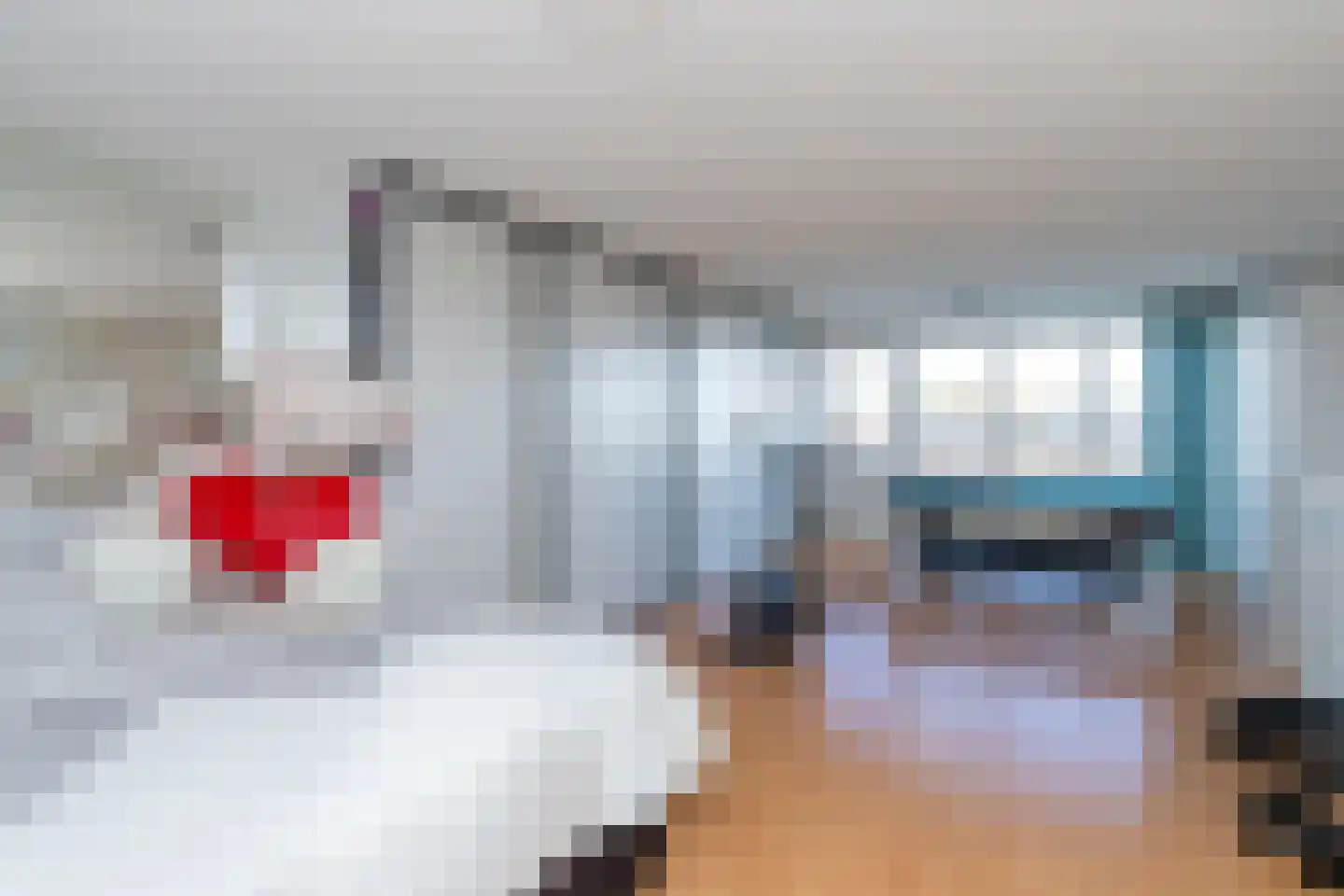 Carry van Bruggenhof 39 Den Haag thumbnail 20