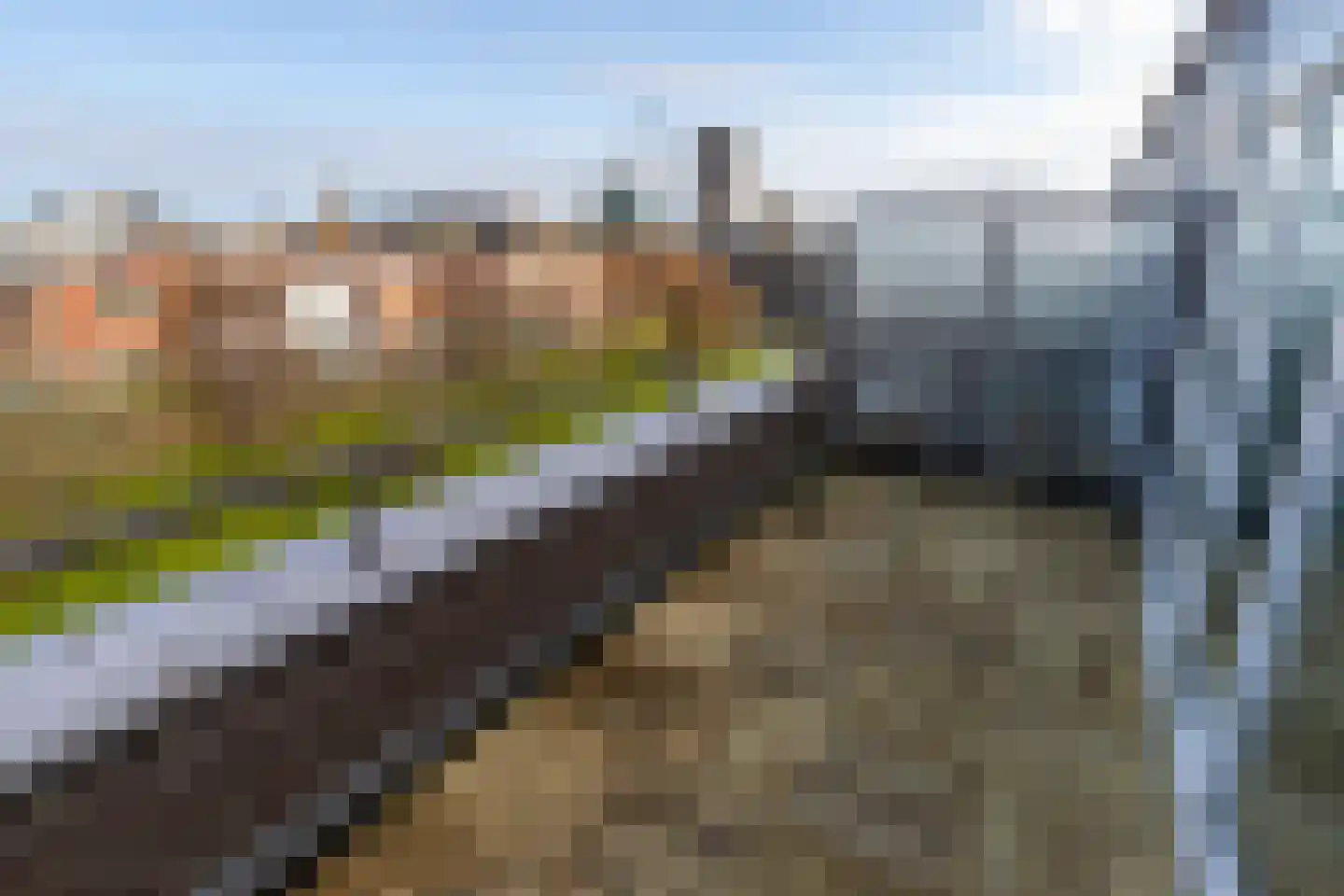Carry van Bruggenhof 39 Den Haag thumbnail 22