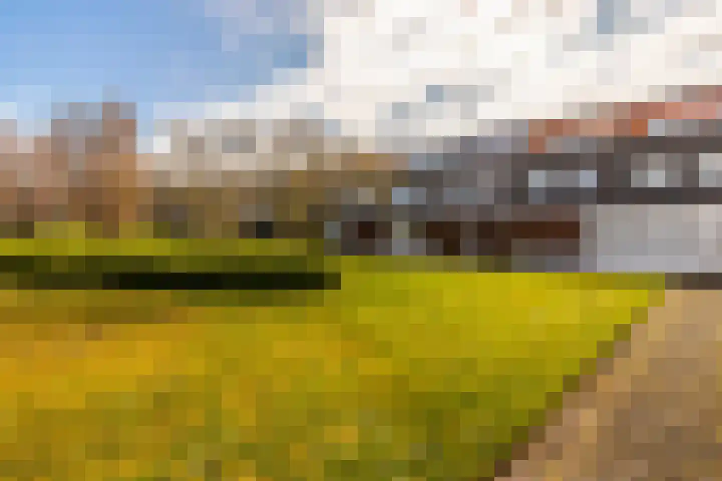 Carry van Bruggenhof 39 Den Haag thumbnail 28