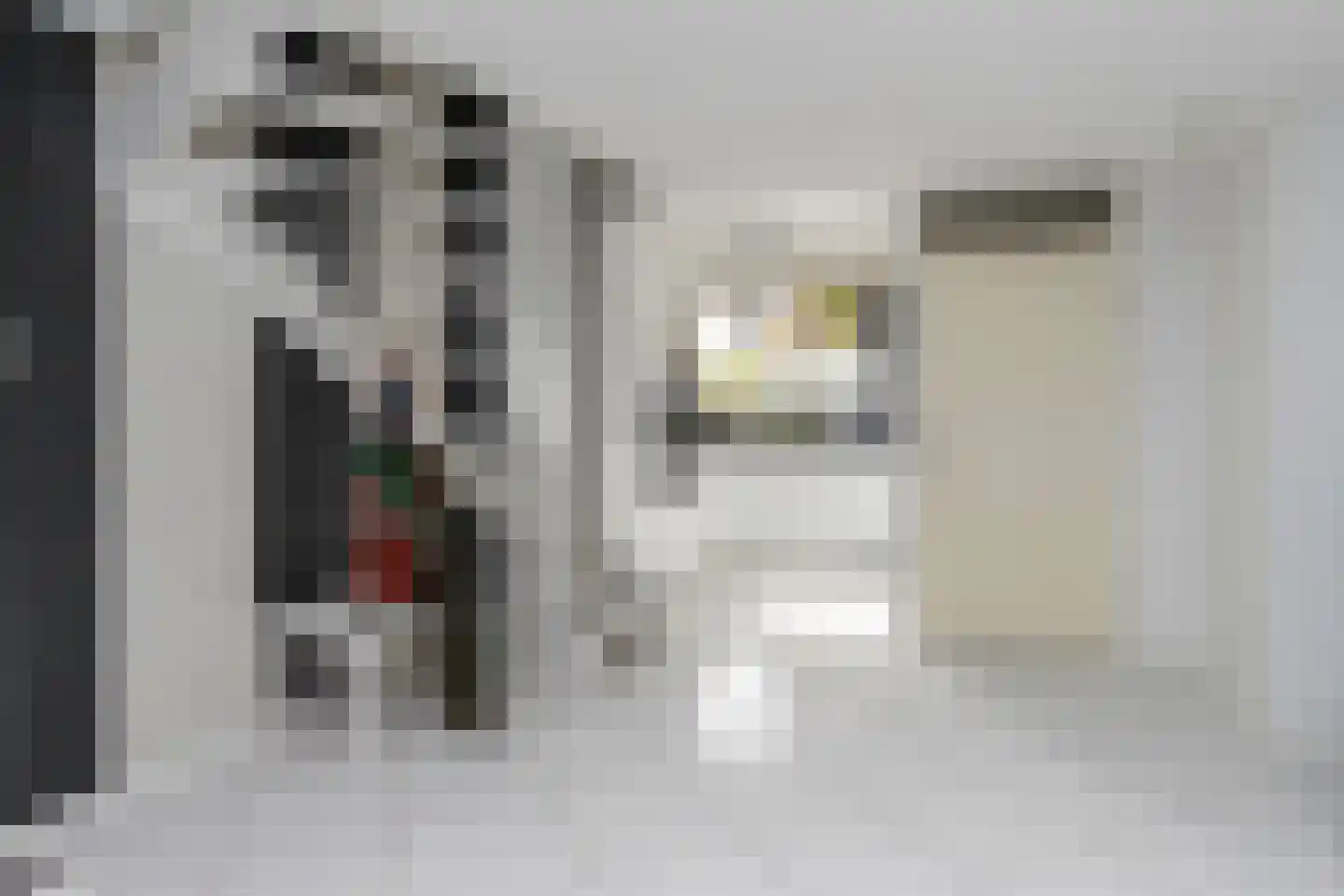 Carry van Bruggenhof 39 Den Haag thumbnail 8