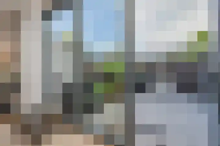 Carry van Bruggenhof 96 Den Haag thumbnail 11