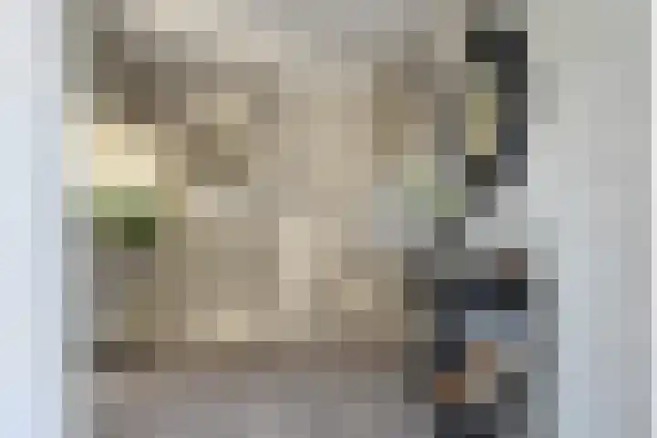 Carry van Bruggenhof 96 Den Haag thumbnail 29