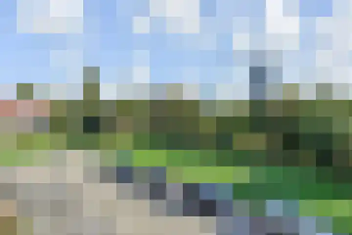 Carry van Bruggenhof 96 Den Haag thumbnail 36