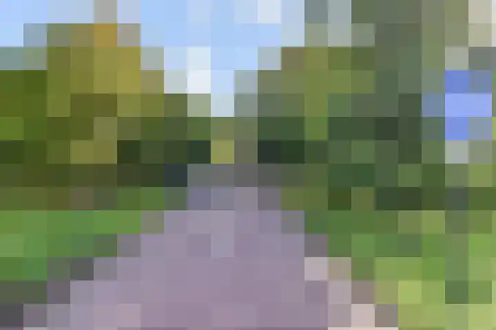 Carry van Bruggenhof 96 Den Haag thumbnail 37
