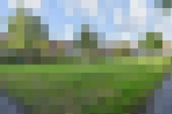Carry van Bruggenhof 96 Den Haag thumbnail 52