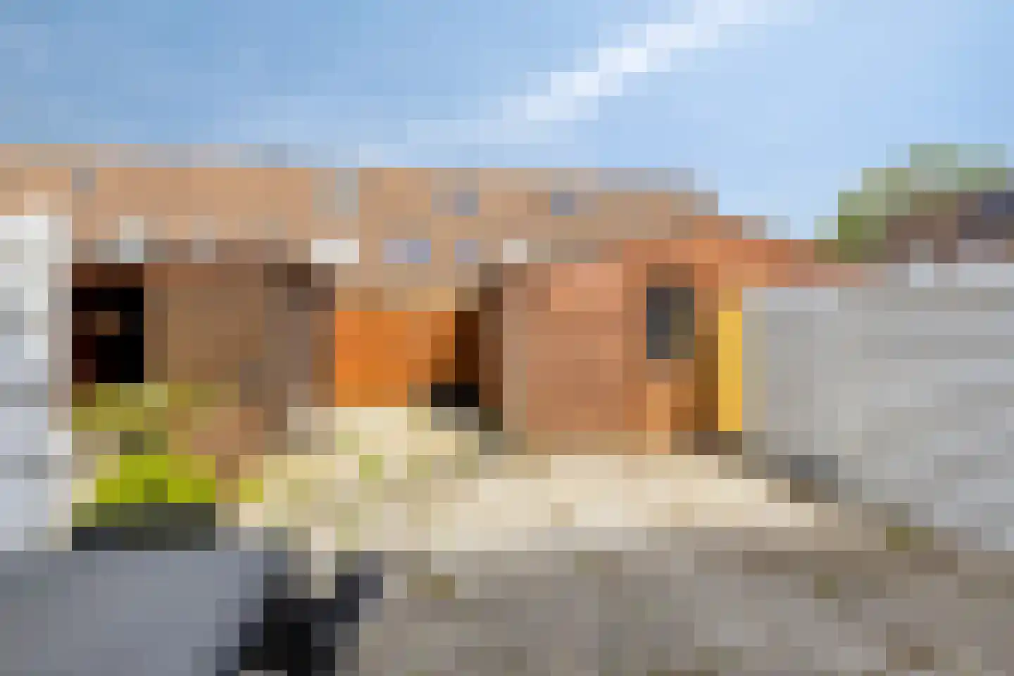 Carry van Bruggensingel 80 Rotterdam thumbnail 5