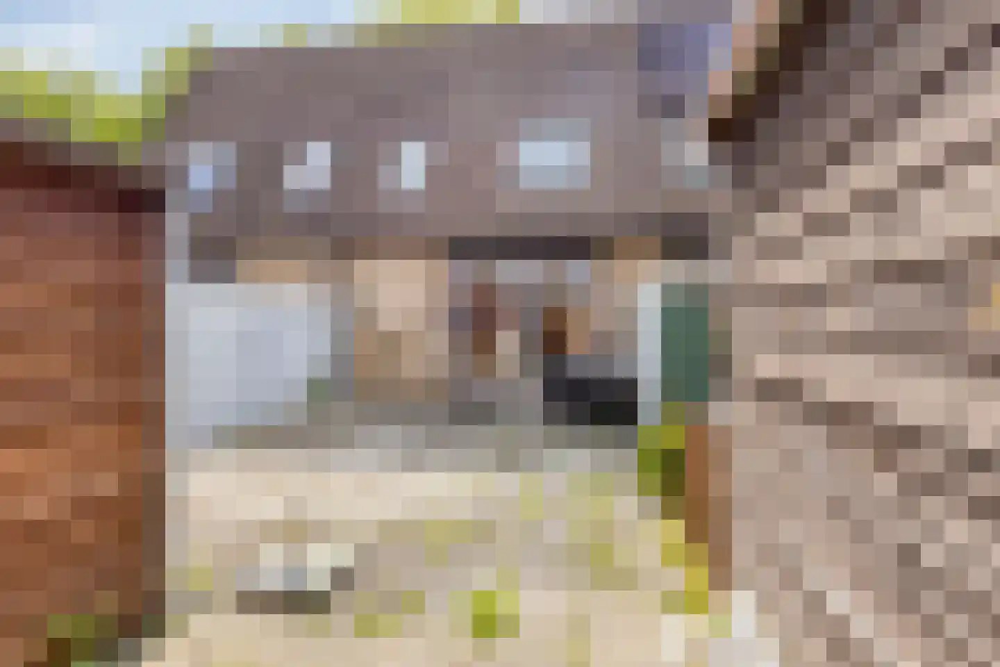 Carry van Bruggensingel 80 Rotterdam thumbnail 6