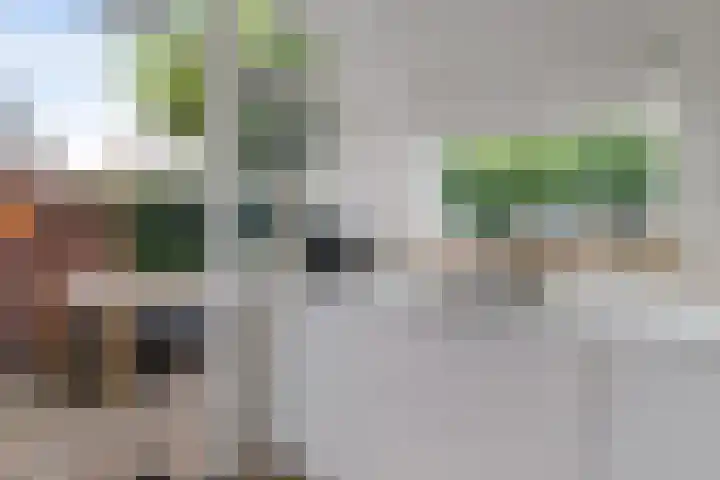 Carry van Bruggenstraat 10 Zwolle thumbnail 13