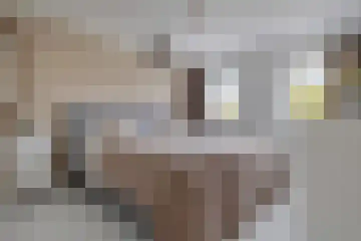 Carry van Bruggenstraat 10 Zwolle thumbnail 15