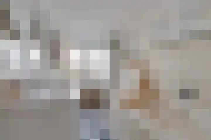 Carry van Bruggenstraat 10 Zwolle thumbnail 18